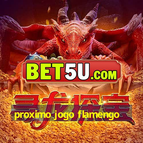 proximo jogo flamengo